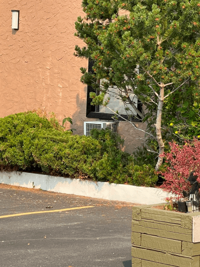 Destination Inn Radium Our Gallery | Destination Inn